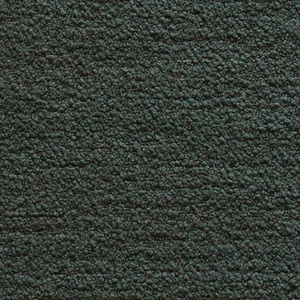 Boucle II - Forest