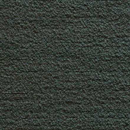 Boucle II - Forest