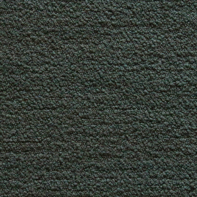Boucle II - Forest