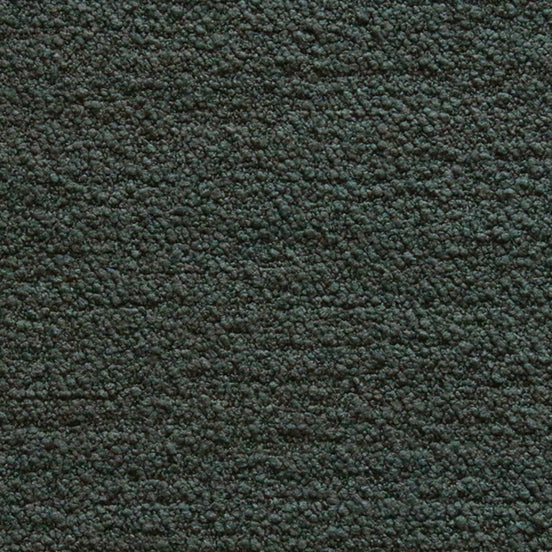 Boucle II - Forest